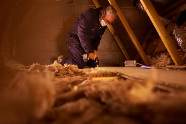 Insulation Inspection Services in Harwood Heights, IL